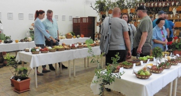 Obecné dožinkové slávnosti dňa 2.9.2023